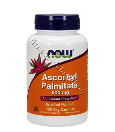 NW-0608 NOW Ascorbyl Palmitate 500 mg, 100 Veg Caps