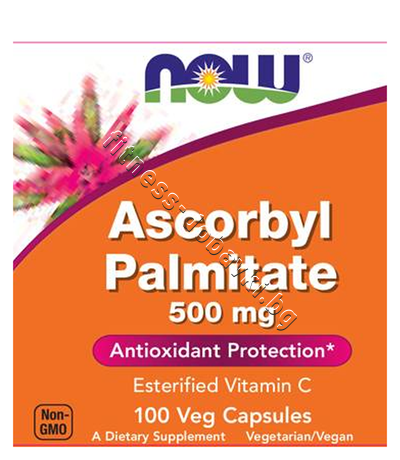 NW-0608 NOW Ascorbyl Palmitate 500 mg, 100 Veg Caps