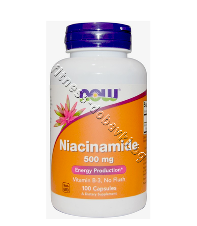 NW-0478 NOW Niacinamide 500 mg, 100 Caps