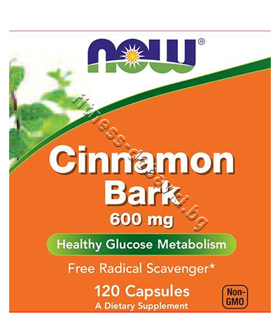 NW-4636 NOW Cinnamon Bark 600 mg, 120 Caps