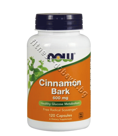 NW-4636 NOW Cinnamon Bark 600 mg, 120 Caps