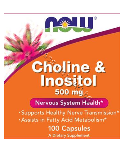 NW-0470 NOW Choline & Inositol 500 mg, 100 Caps