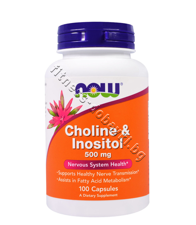 NW-0470 NOW Choline & Inositol 500 mg, 100 Caps