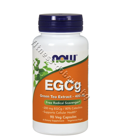 NW-4704 NOW EGCG Green Tea Extract 400 mg, 90 Veg Caps