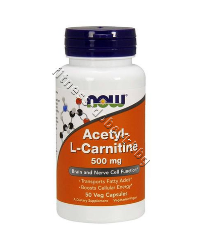 NW-0075 NOW Acetyl-L-Carnitine 500 mg, 50 Caps