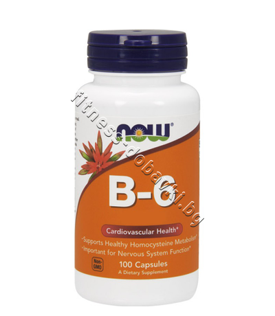 NW-0450 NOW Vitamin B-6 (Pyridoxine) 50mg, 100 Tablets